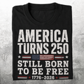 USA 250 Anniversary Still Born to Be Free T-shirt